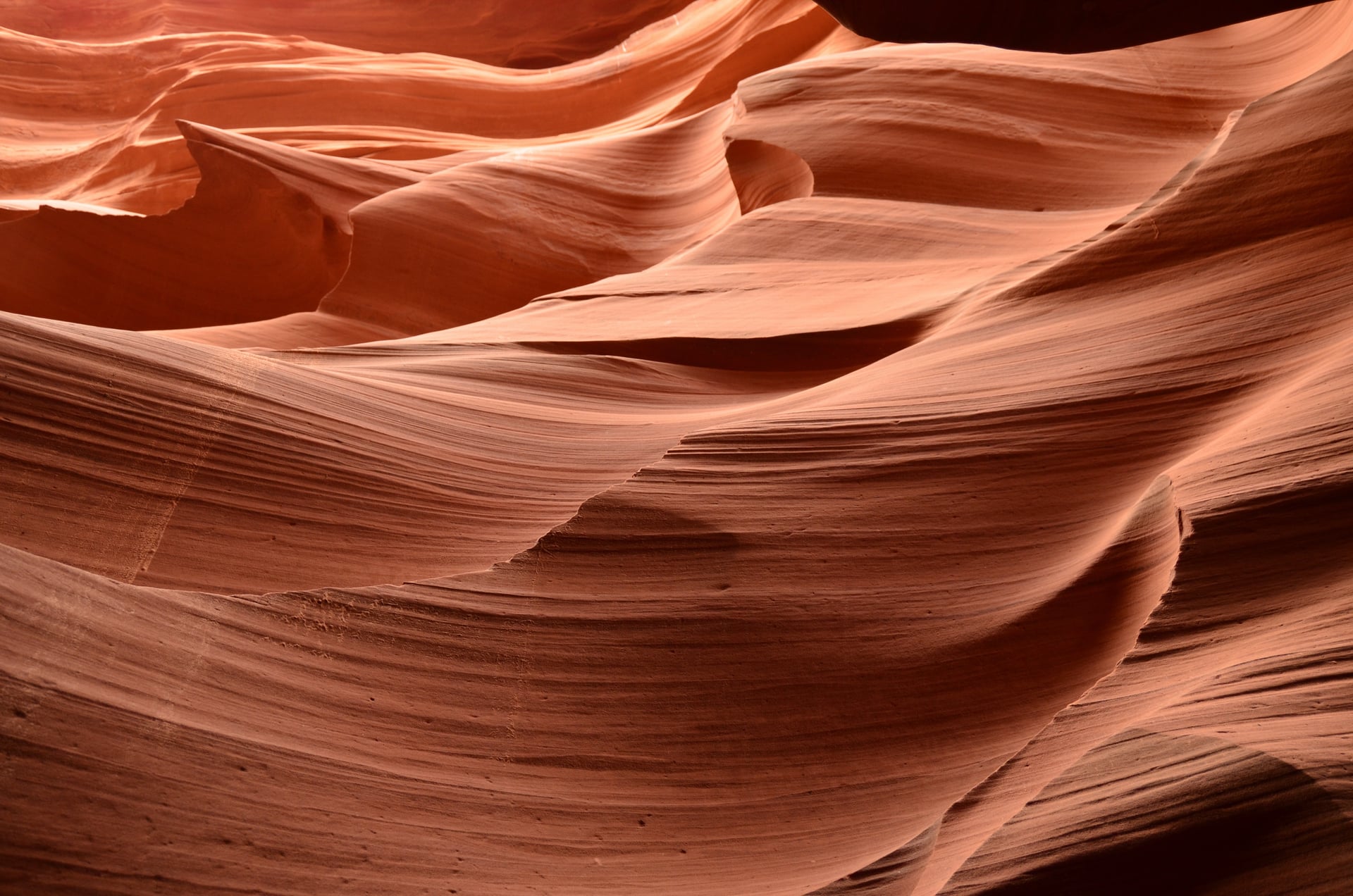 Vagues de grès sculptées par l’érosion, dans les tons terre cuite